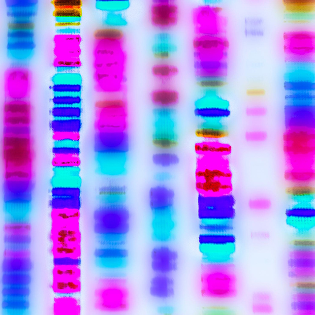 scientific photo showing chromosomes