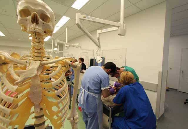 skeleton and students in a laboratory